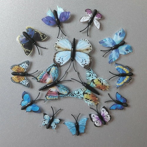 Blau schmetterlinge - 12, 3d